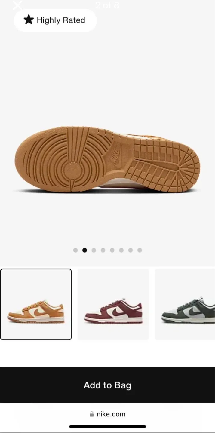 Brand New Nike Dunk Low Shoes image indicator(2)