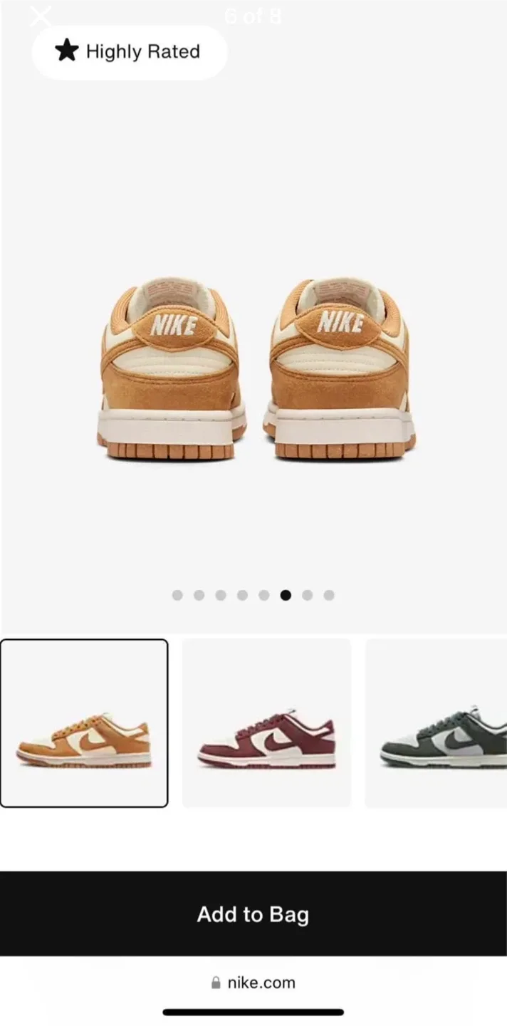 Brand New Nike Dunk Low Shoes image indicator(6)