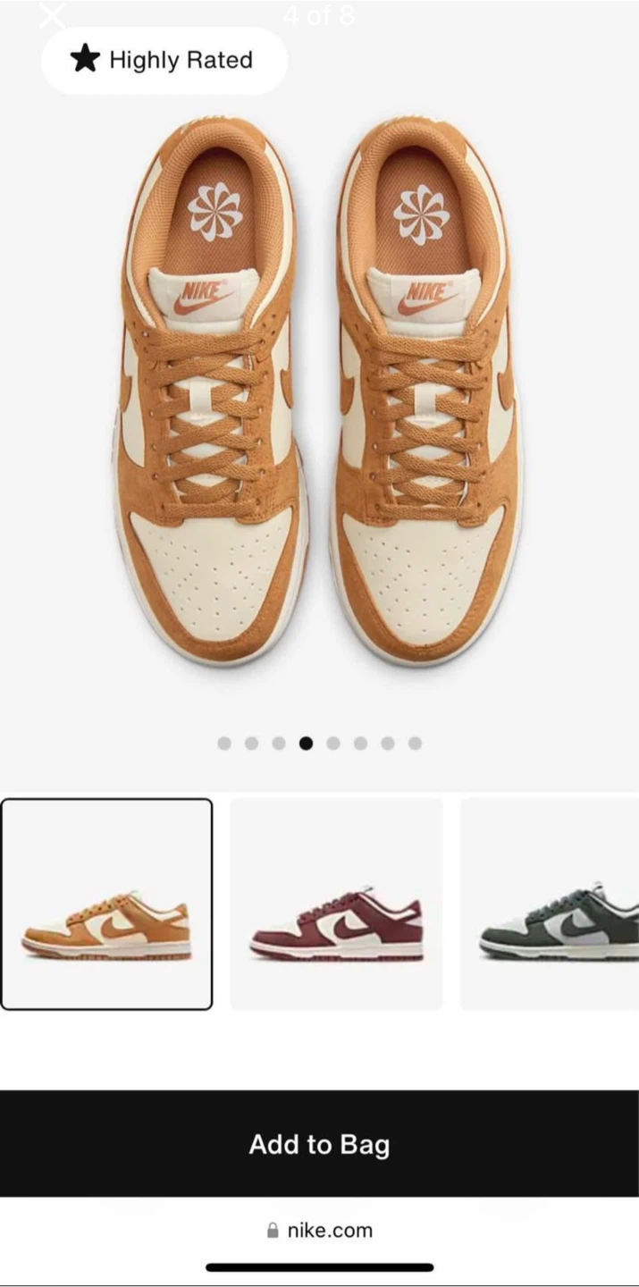 Brand New Nike Dunk Low Shoes - photo 4