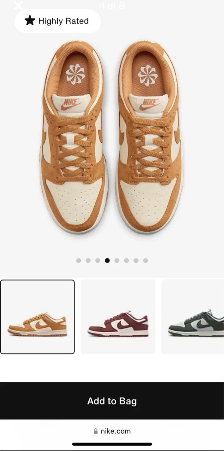 Brand New Nike Dunk Low Shoes image indicator(4)