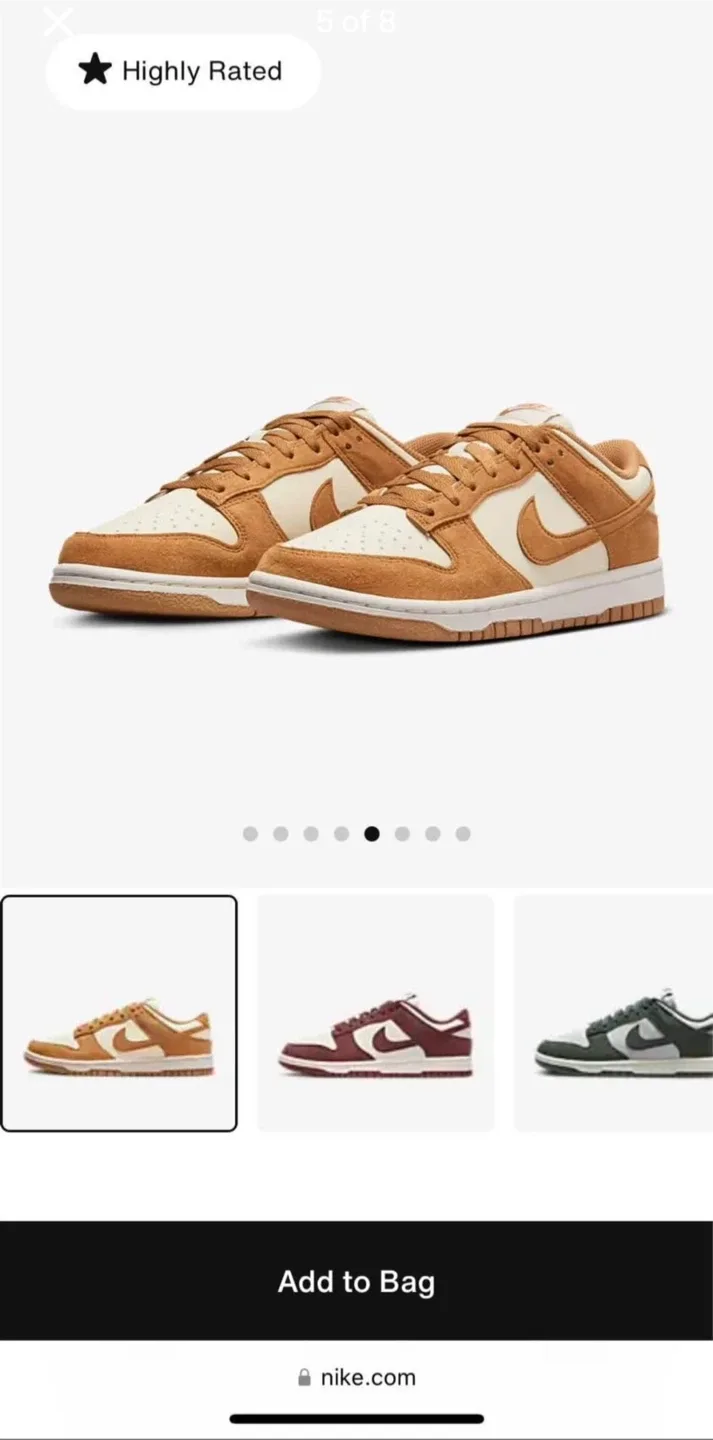 Brand New Nike Dunk Low Shoes image indicator(5)