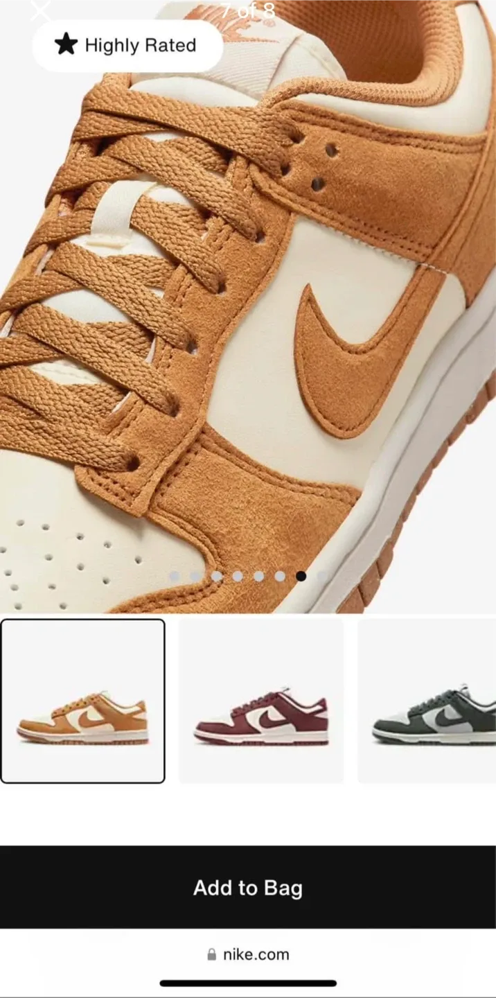 Brand New Nike Dunk Low Shoes image indicator(7)