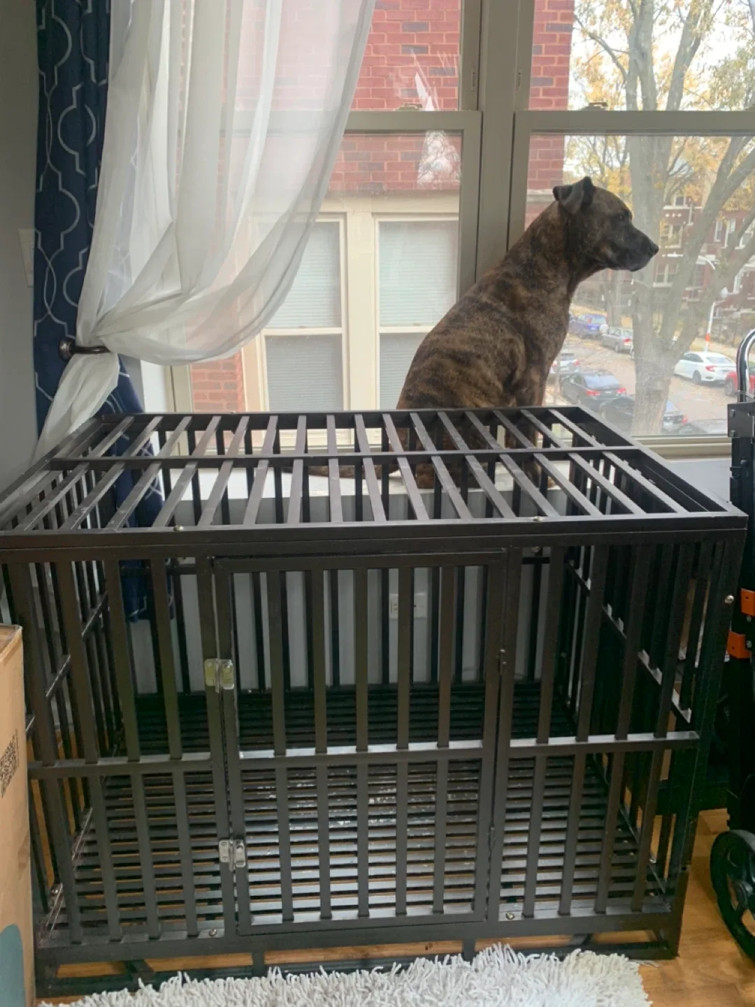 Dog Crate - 47.2"L x 28.9"W x 30.7"H