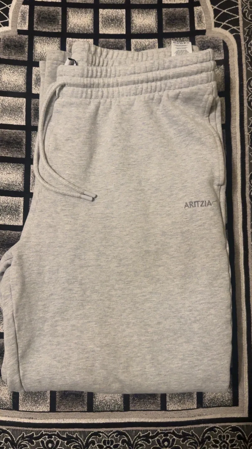 Aritzia XL pants