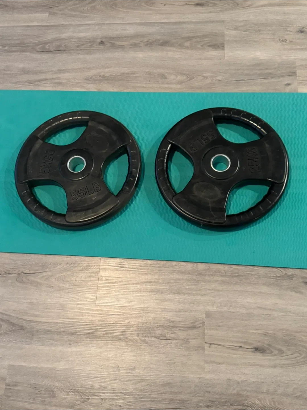 Pair of 55LB (25KG) Weight Plates