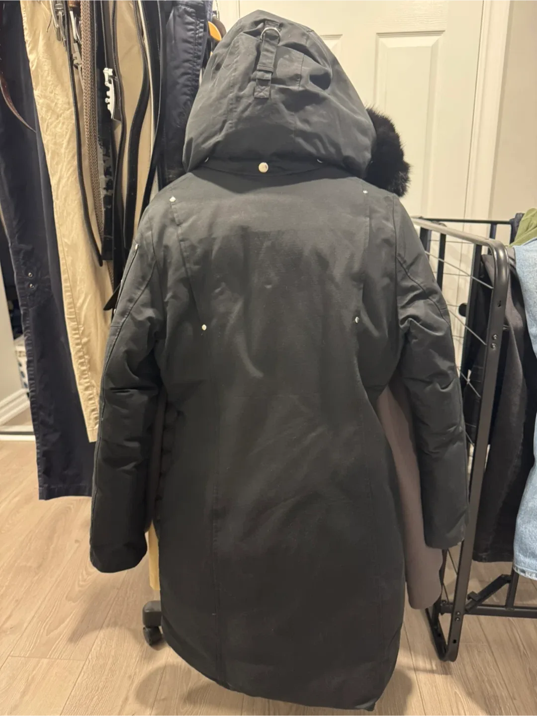 Moose Knuckles Black  Jacket for woman  - Size M image indicator(4)