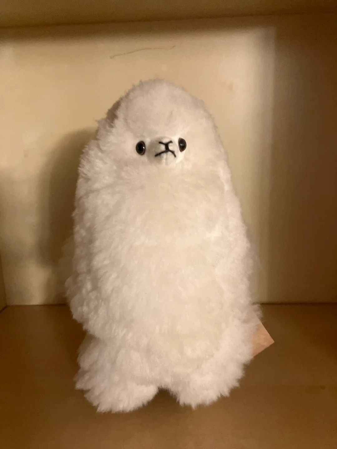 Fluffybutt the Alpaca