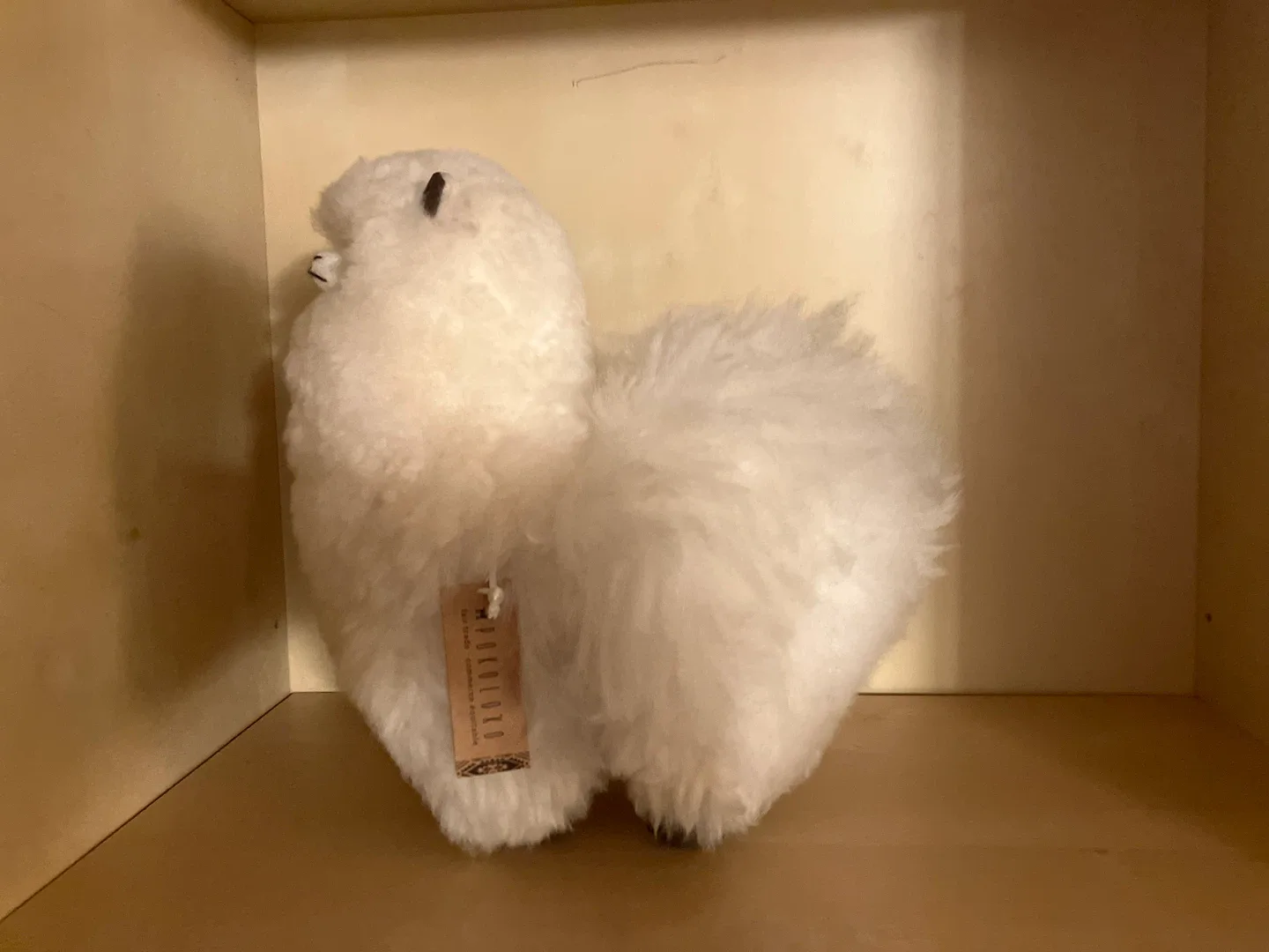 Fluffybutt the Alpaca image indicator(5)