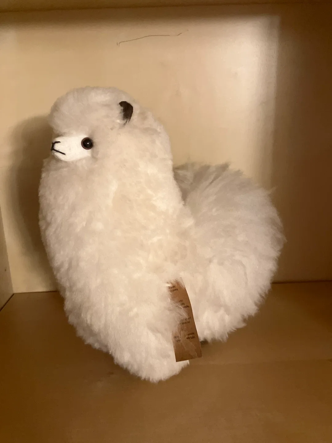 Fluffybutt the Alpaca image indicator(2)