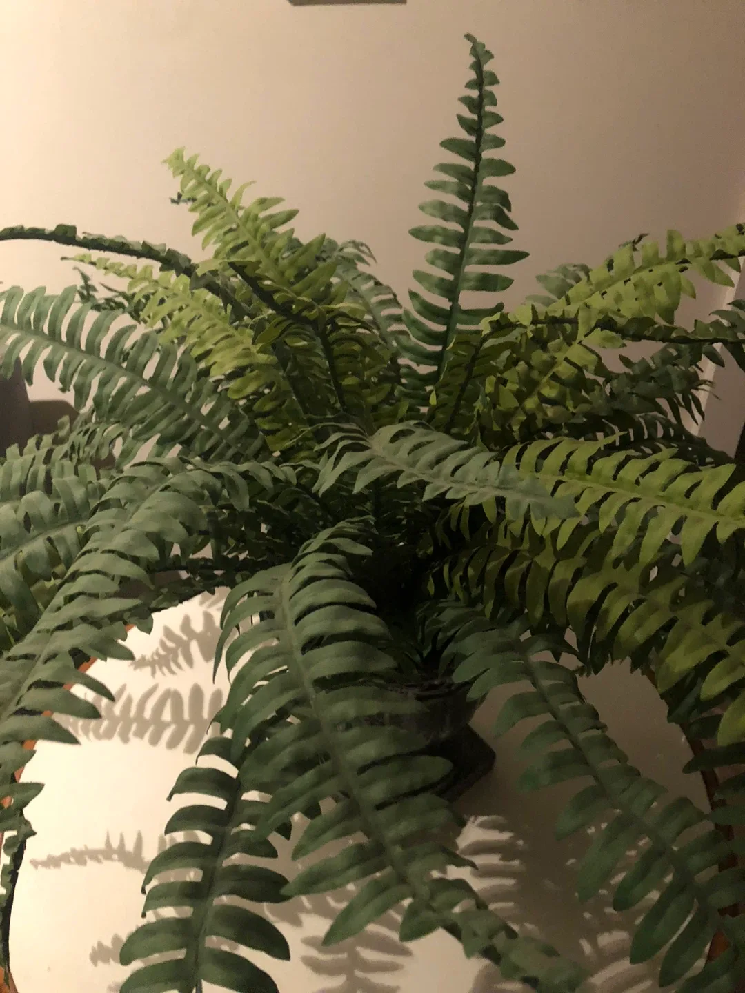 Faux Fern in Decorative Pot image indicator(3)