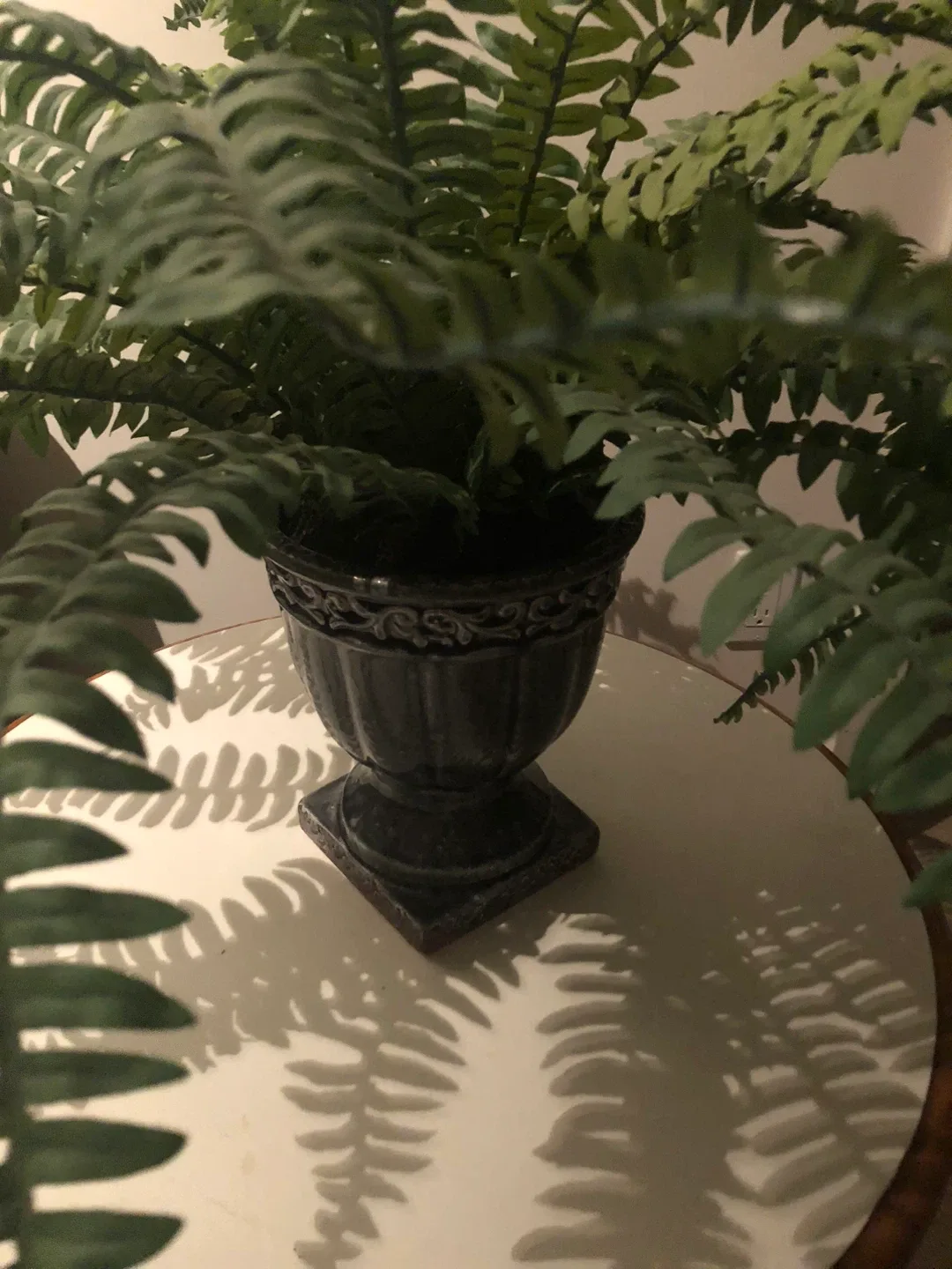 Faux Fern in Decorative Pot image indicator(2)