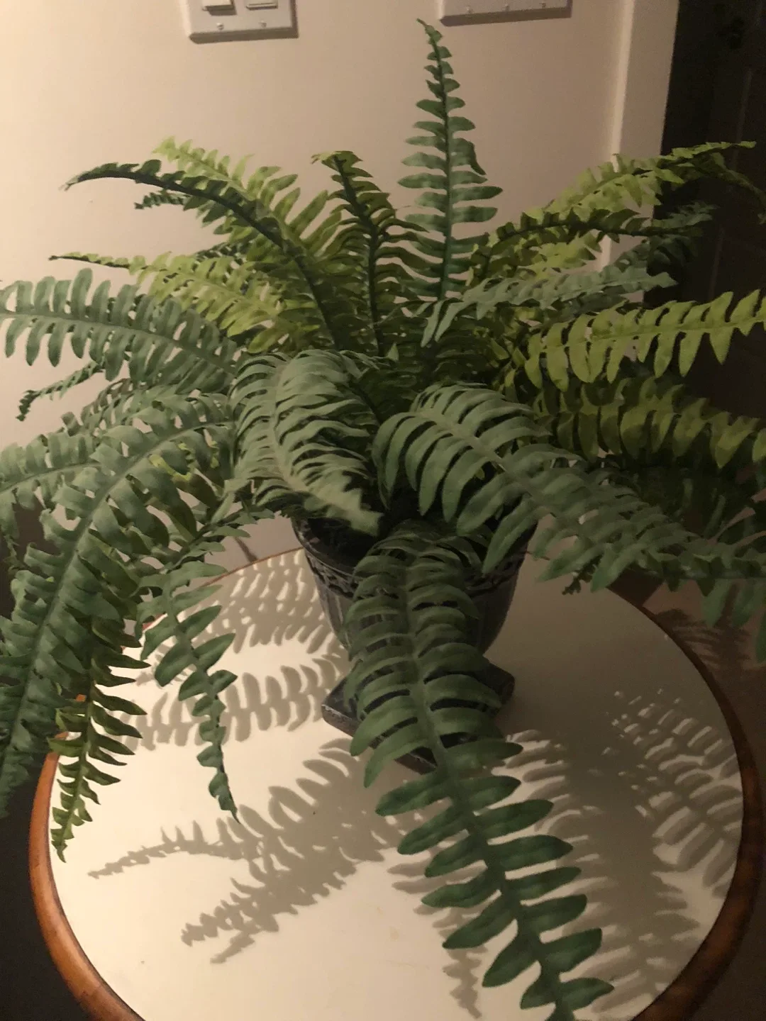 Faux Fern in Decorative Pot