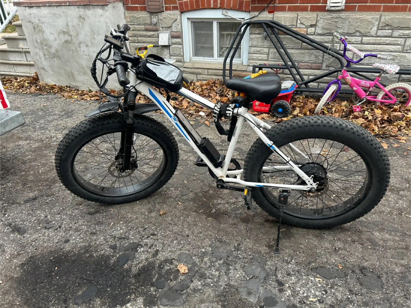 Fat Tire Electric Bike