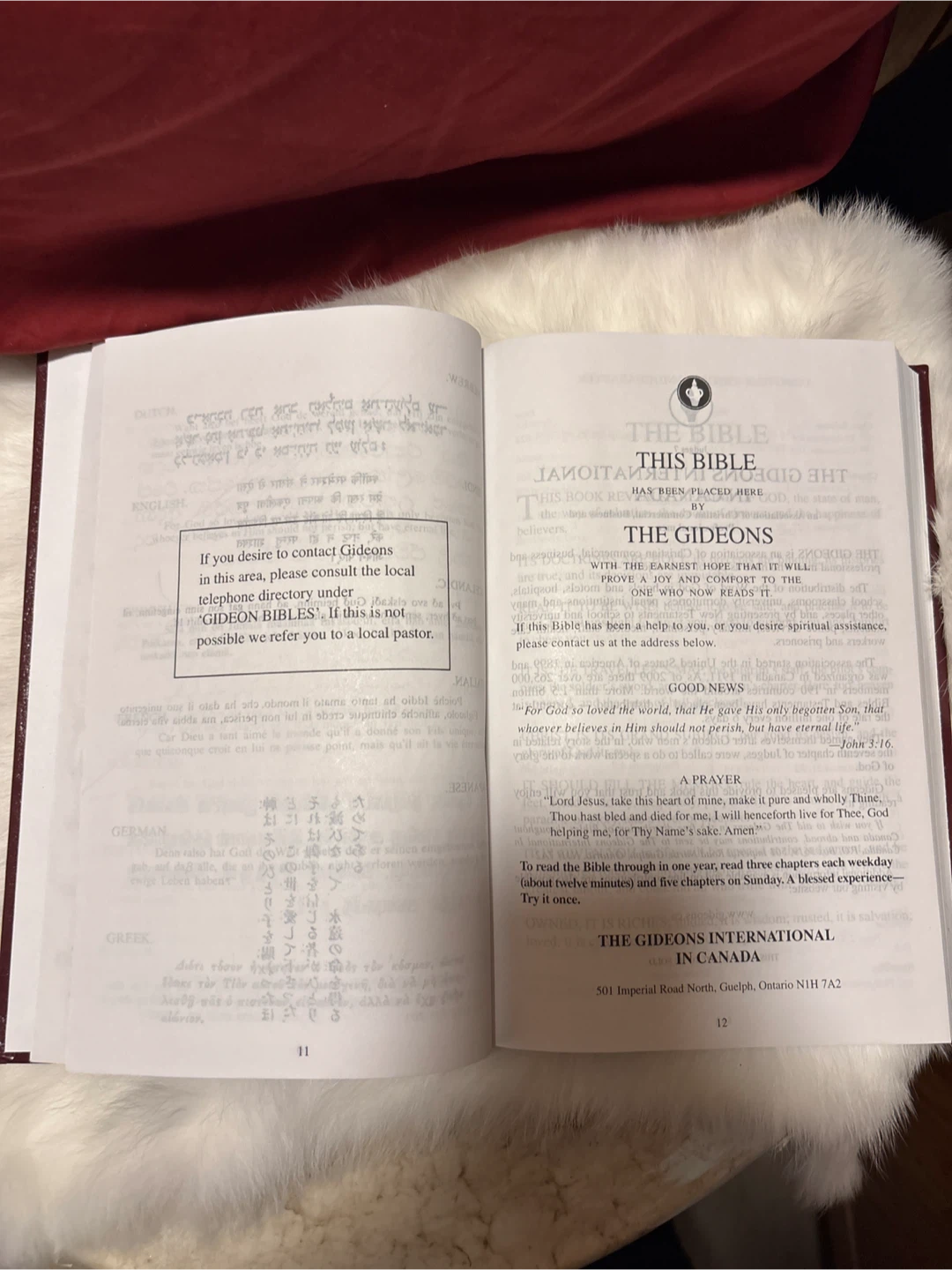 Holy Bible - The Gideons - photo 2