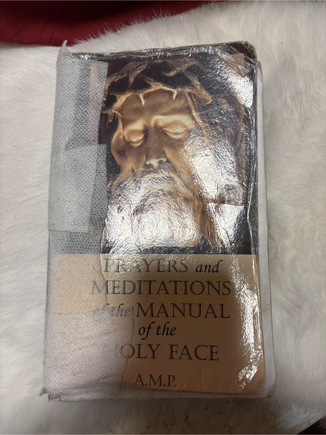 Prayers and Meditations Manual of the Holy Face