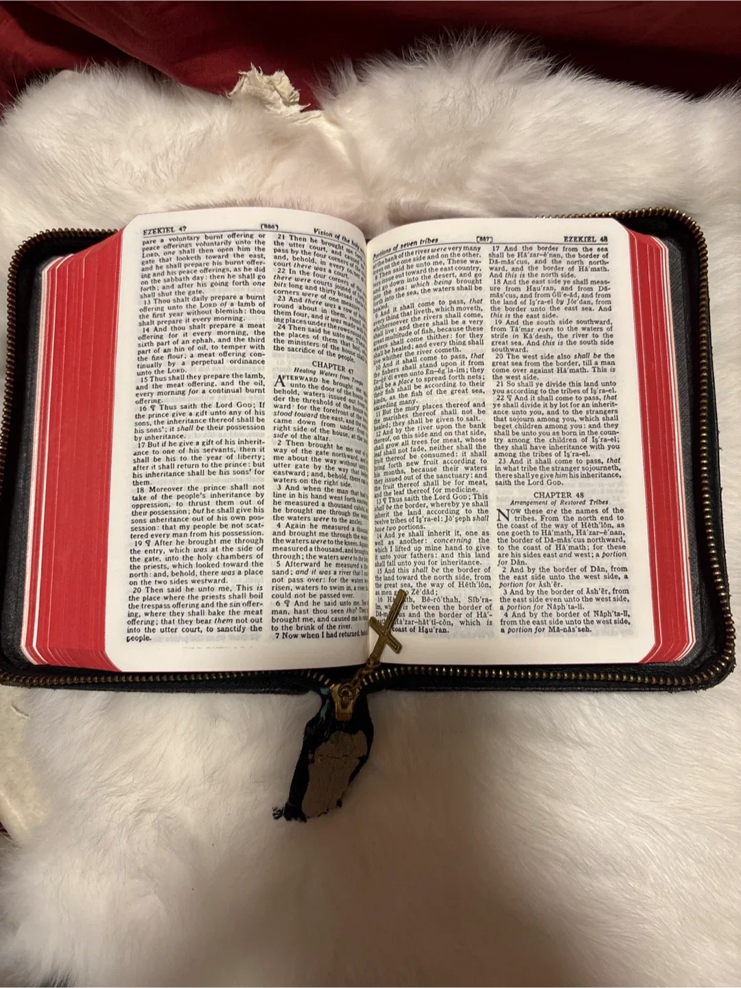 Vintage Holy Bible image indicator(4)