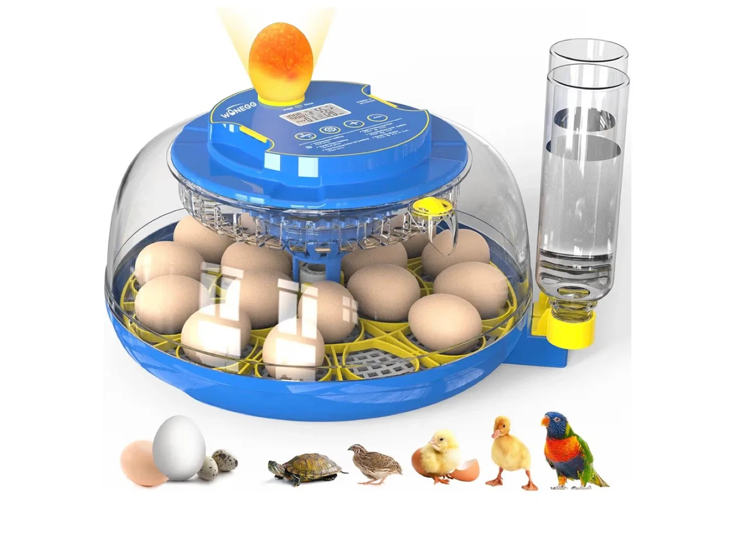 WONegg Egg Incubator with Auto Rotation