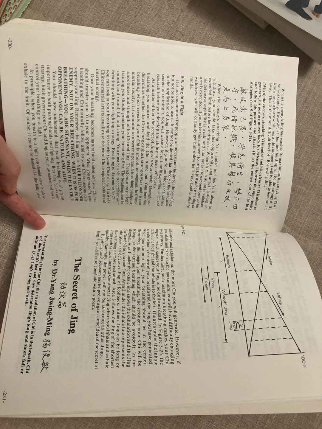 Advanced Yang Style Tai Chi Chuan Vol. 2 by Dr. Yang Jwing-Ming image indicator(6)