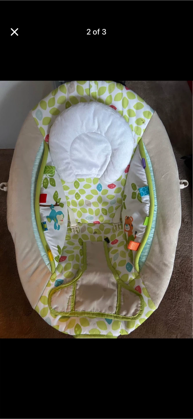 Baby Bouncer Seat