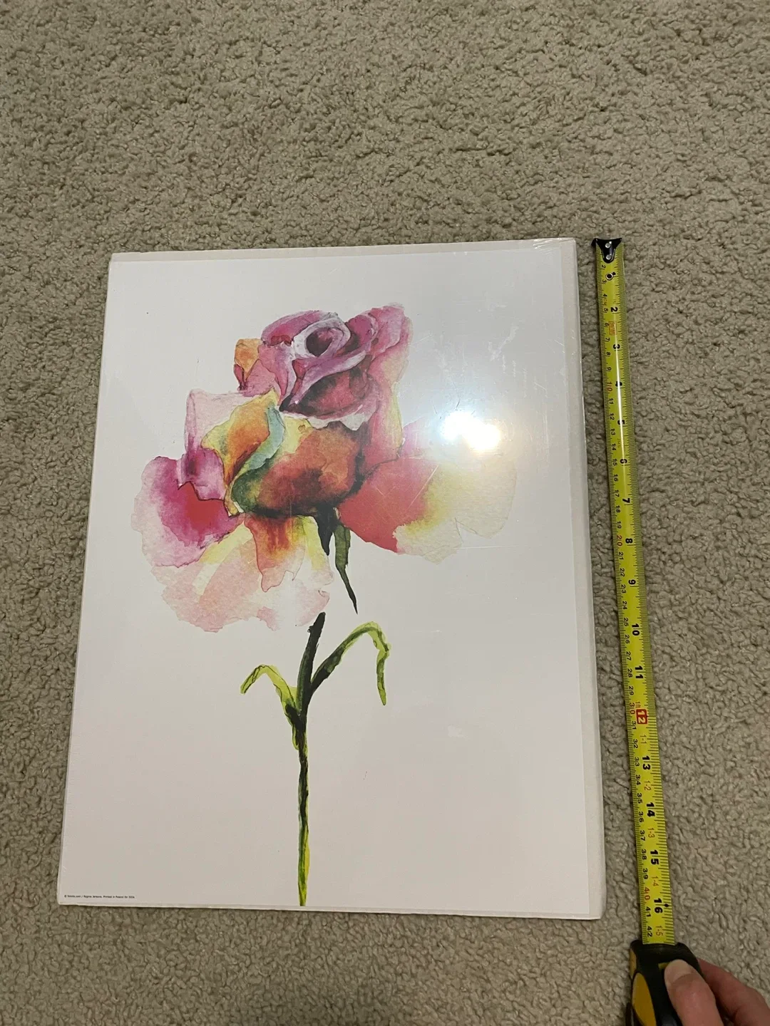 IKEA decoration - painting (flower)
