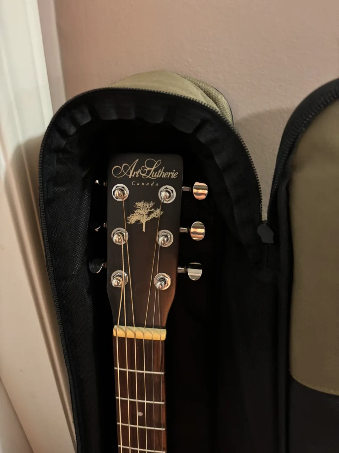 Art & Lutherie Acoustic Guitar w/ Case image indicator(2)