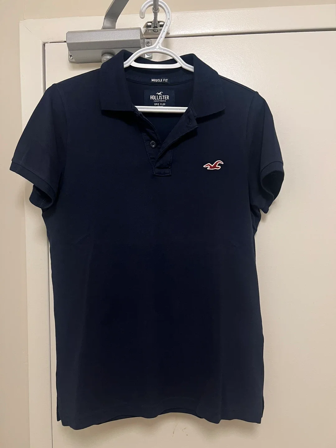 Hollister Muscle Fit Polo Shirt
