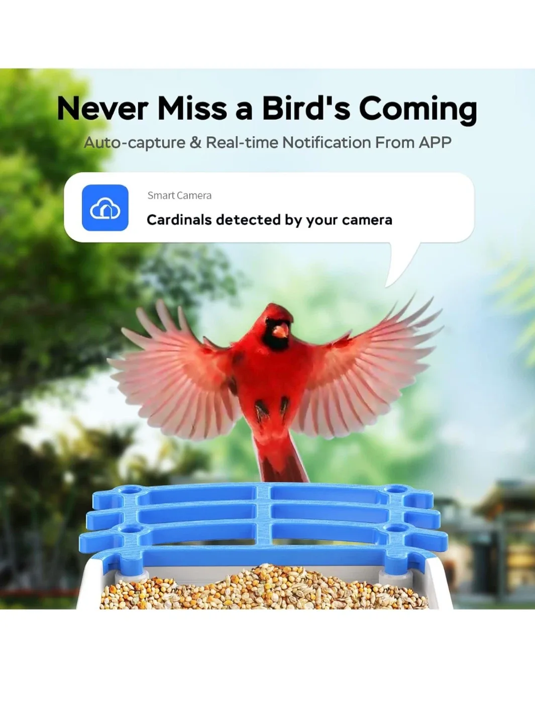 Treebirdy Smart Bird Feeder w/ Camera image indicator(6)