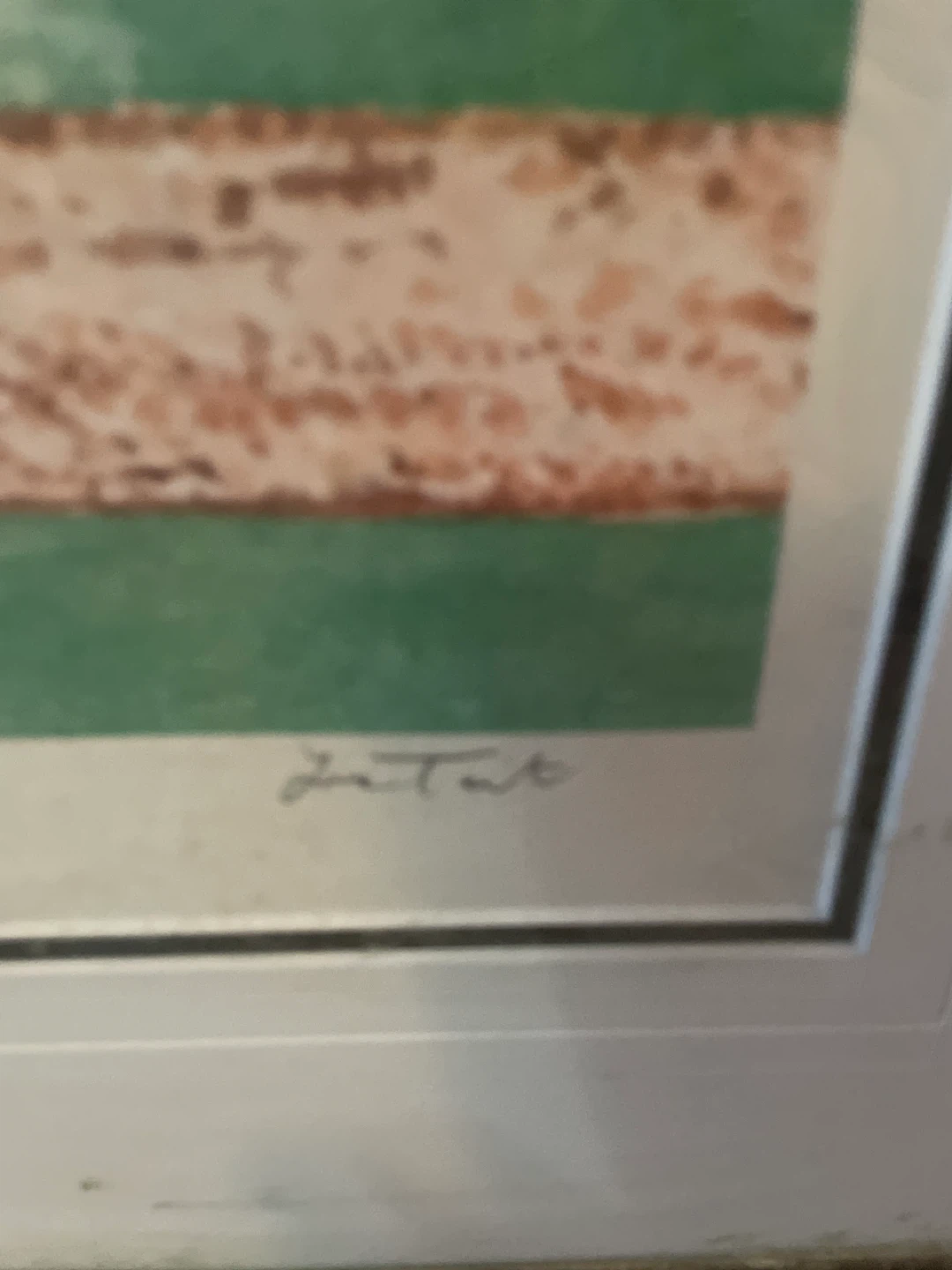 Bluejay print - photo 2