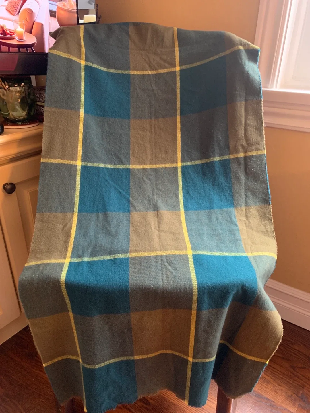 Indigo Green Plaid Scarf    #Cleanout image indicator(6)