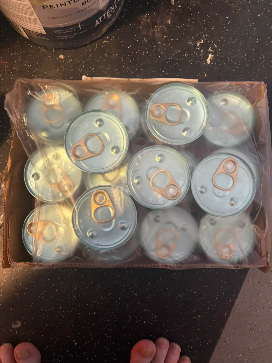 Purina Fancy Feast Medleys Chicken Tuscany Cat Food