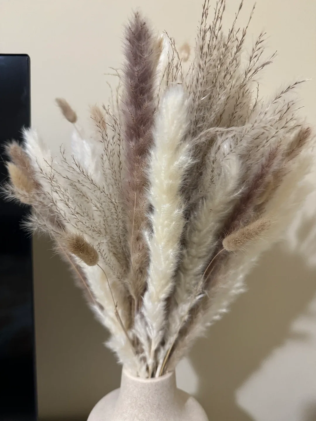 Sand-coloured Decorative Vase with dried flowers image indicator(3)