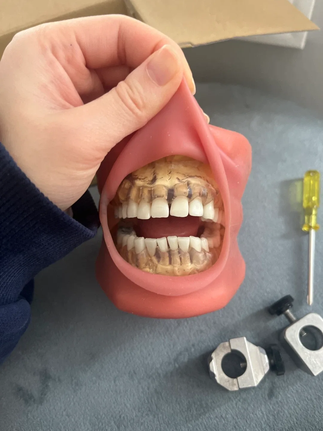 Nissin Dental Kilgore Model P15DP-X.1259-OR image indicator(4)