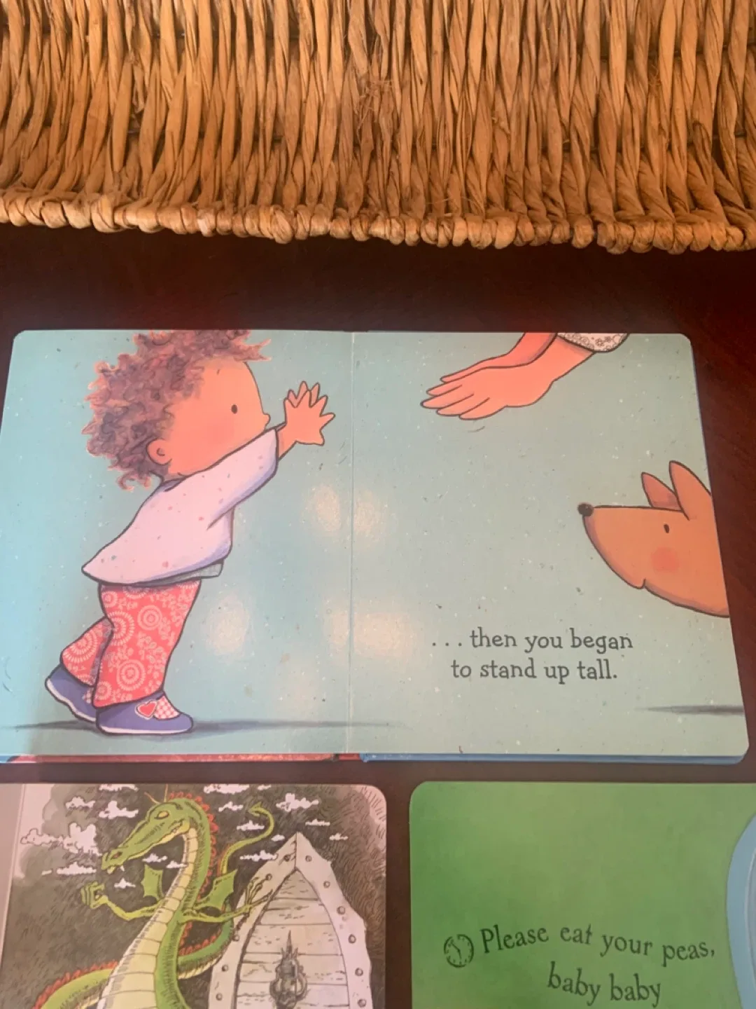 Children's Board Books: "Please, Baby, Please" & More image indicator(8)
