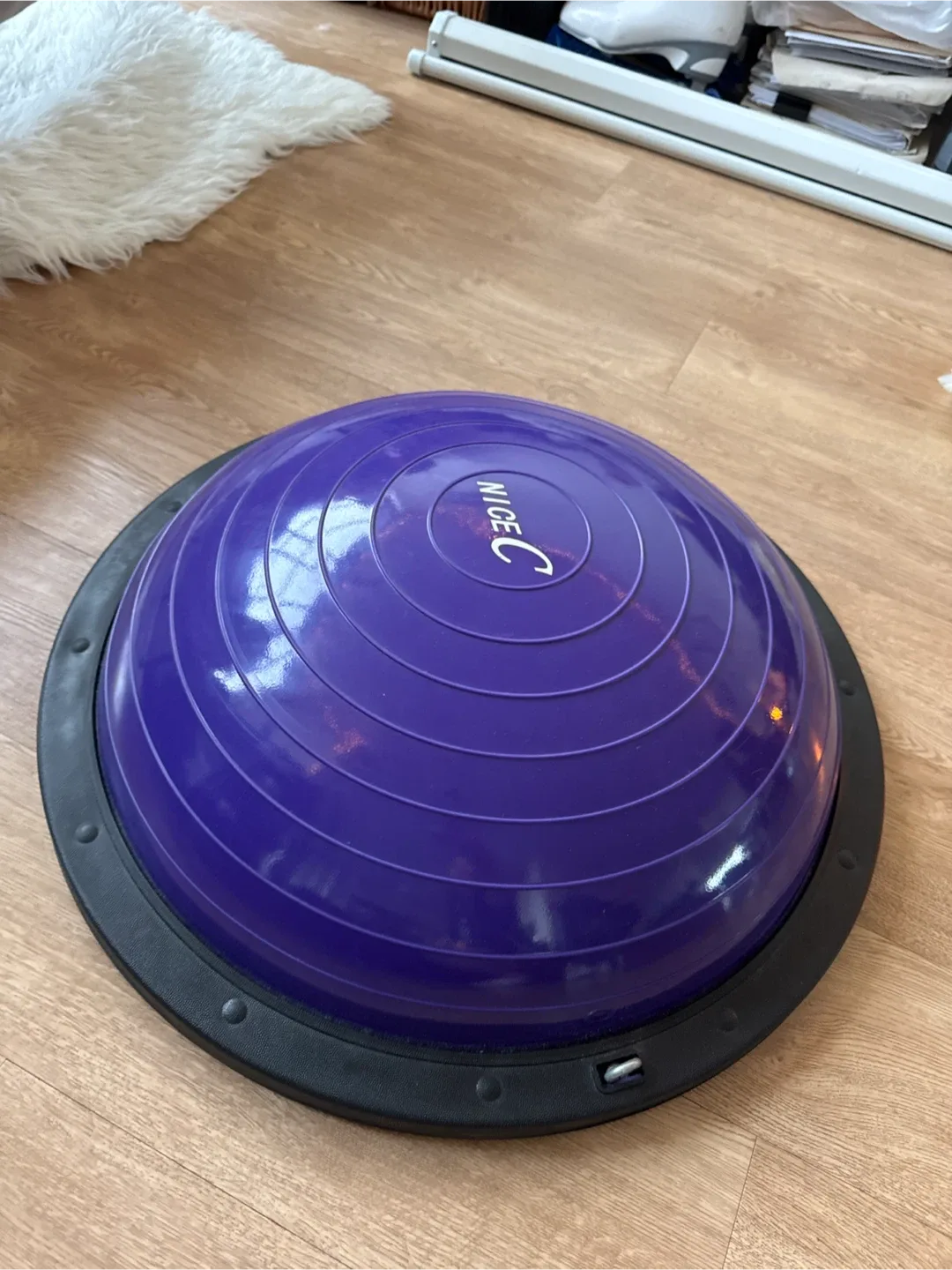 Balance Ball/Balance Trainer (Purple)