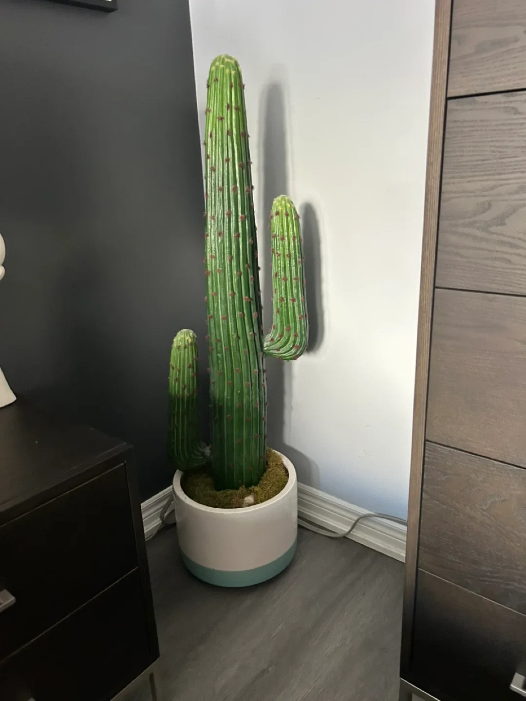 Faux Cactus Plant