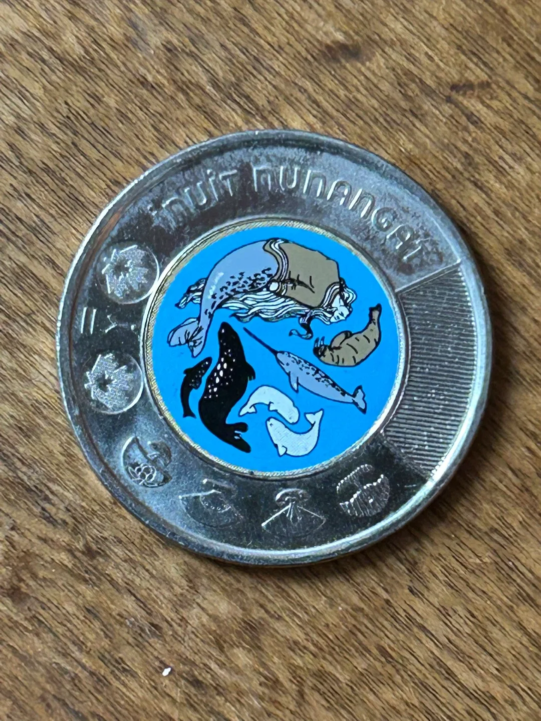Toonie $2 coin 2024 Canada Inuit Nunangat Coloured money