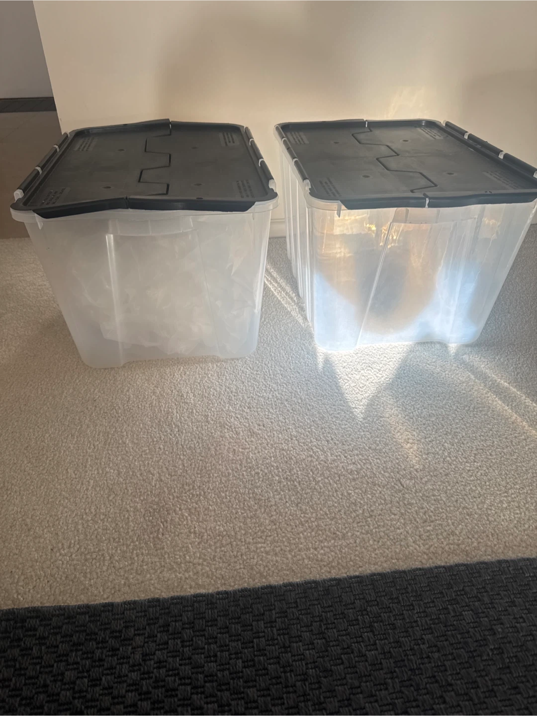 Two Clear Storage Bins with Lids