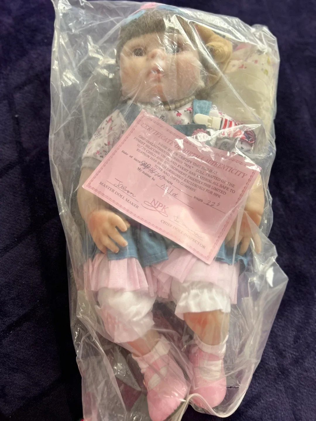 Reborn Baby Doll with Teddy Bear image indicator(3)