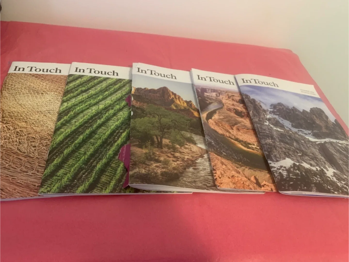 Five Free Devotionals: #Cleanout 💚