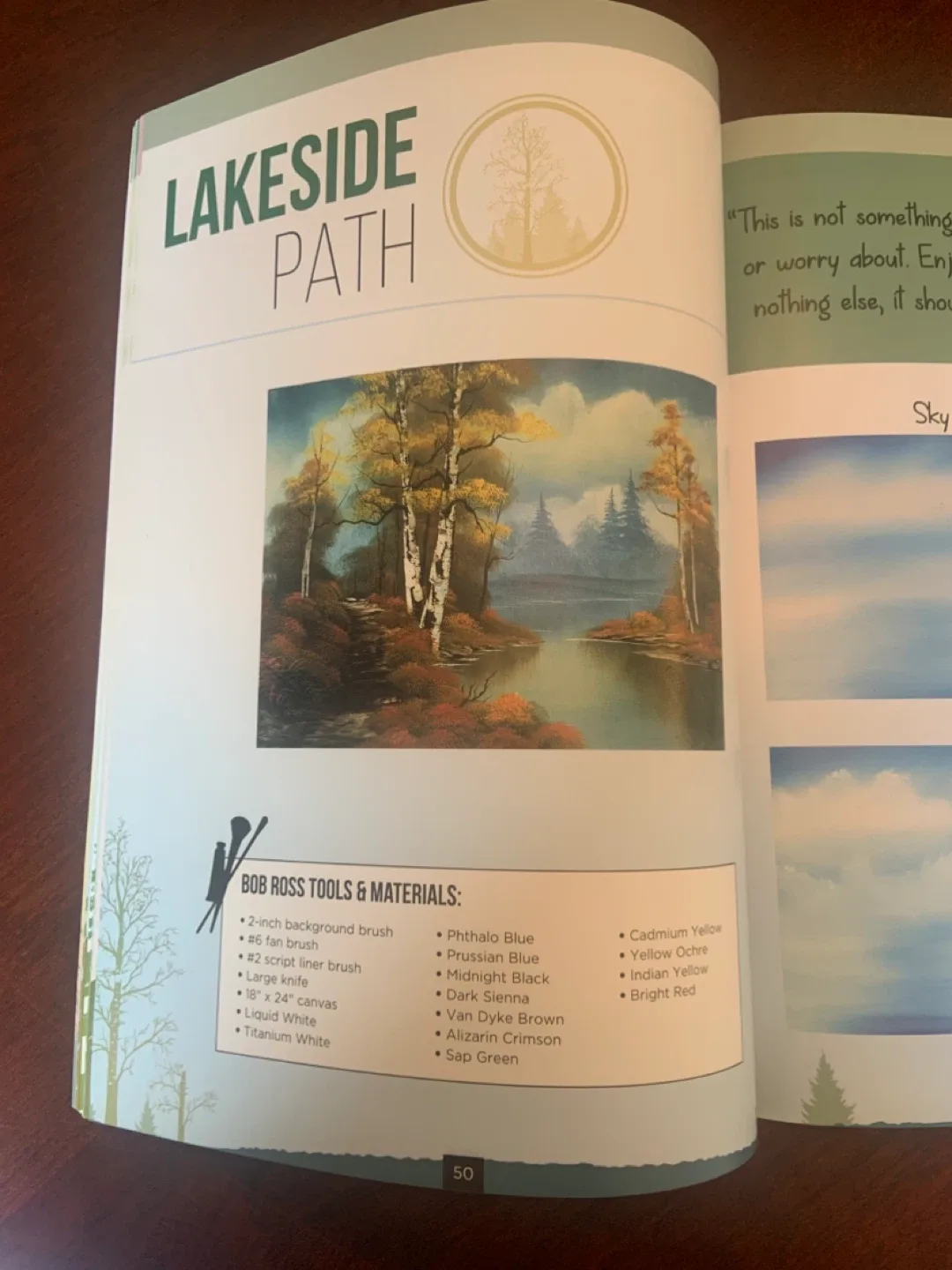 Painting with Bob Ross Book image indicator(5)