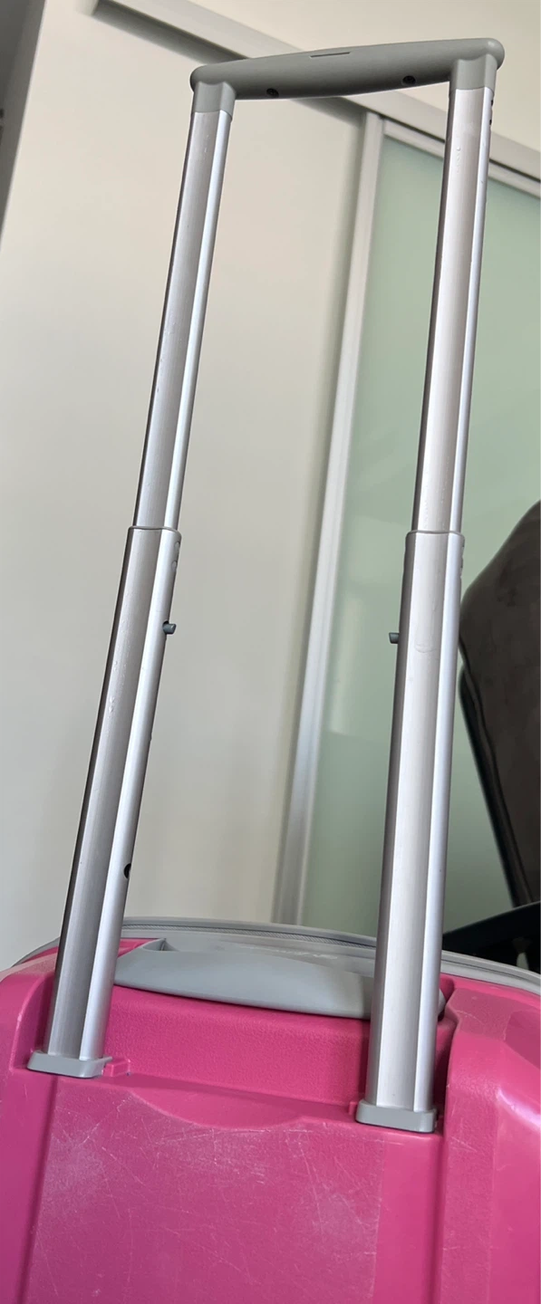 Pink Larvender Carry-On Suitcase - photo 5