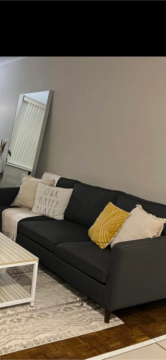 Structube Dark Grey Sofa