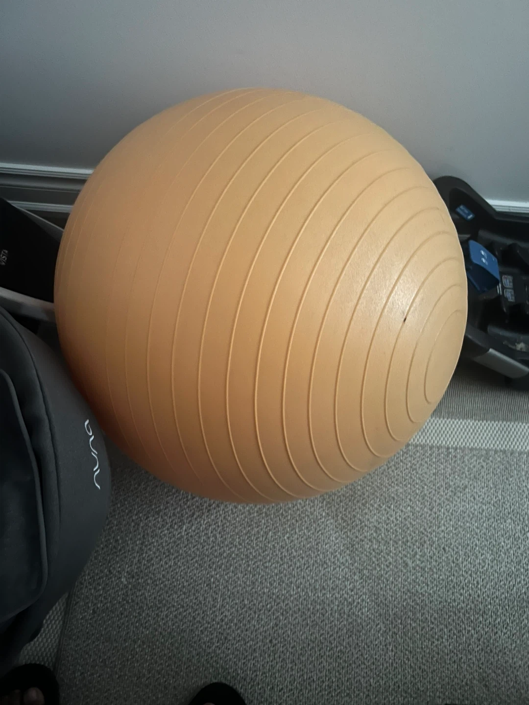Forza Pro Exercise Ball - 55cm