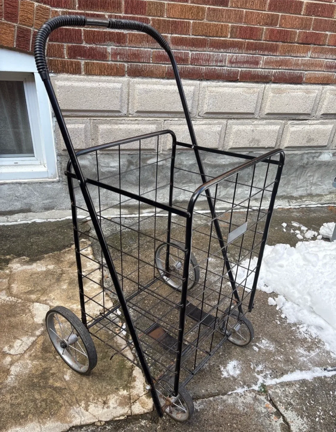 Large Grocery Cart