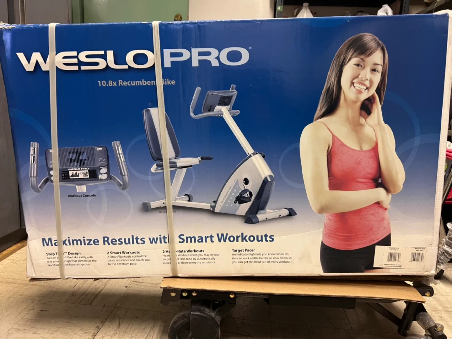 Weslo Pro 10.8x Recumbent Bike