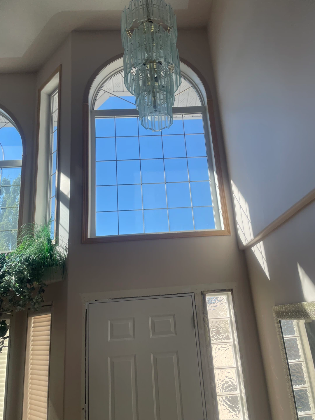 Pro Painters - photo 4