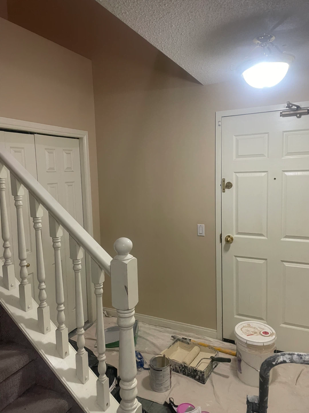 Pro Painters - photo 5