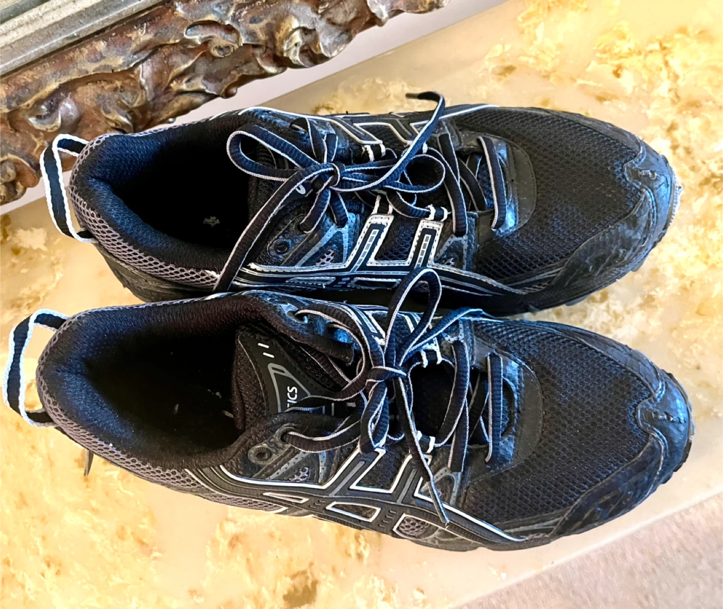 Asics Running Shoes - Size 8 US