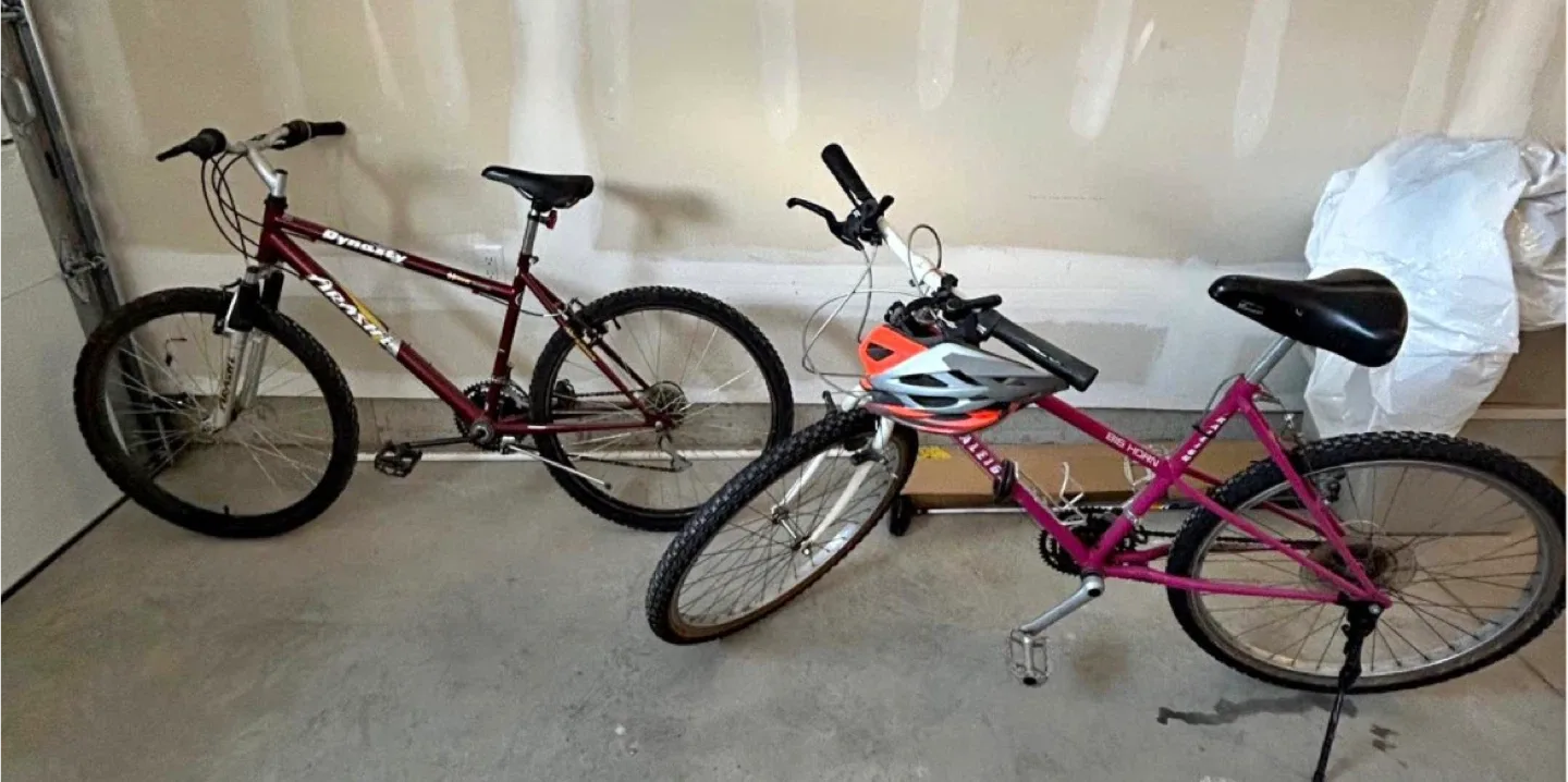 Dynasty & Big Horn Mountain Bikes - Two Bikes