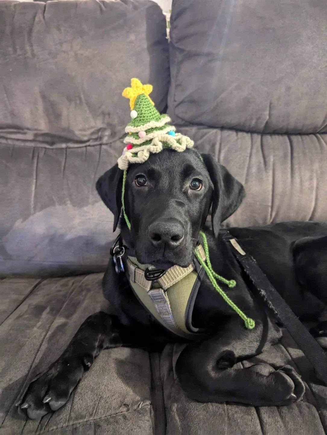 Crochet Christmas tree hat - Ready to go!
